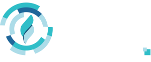 Digitals Flare Logo
