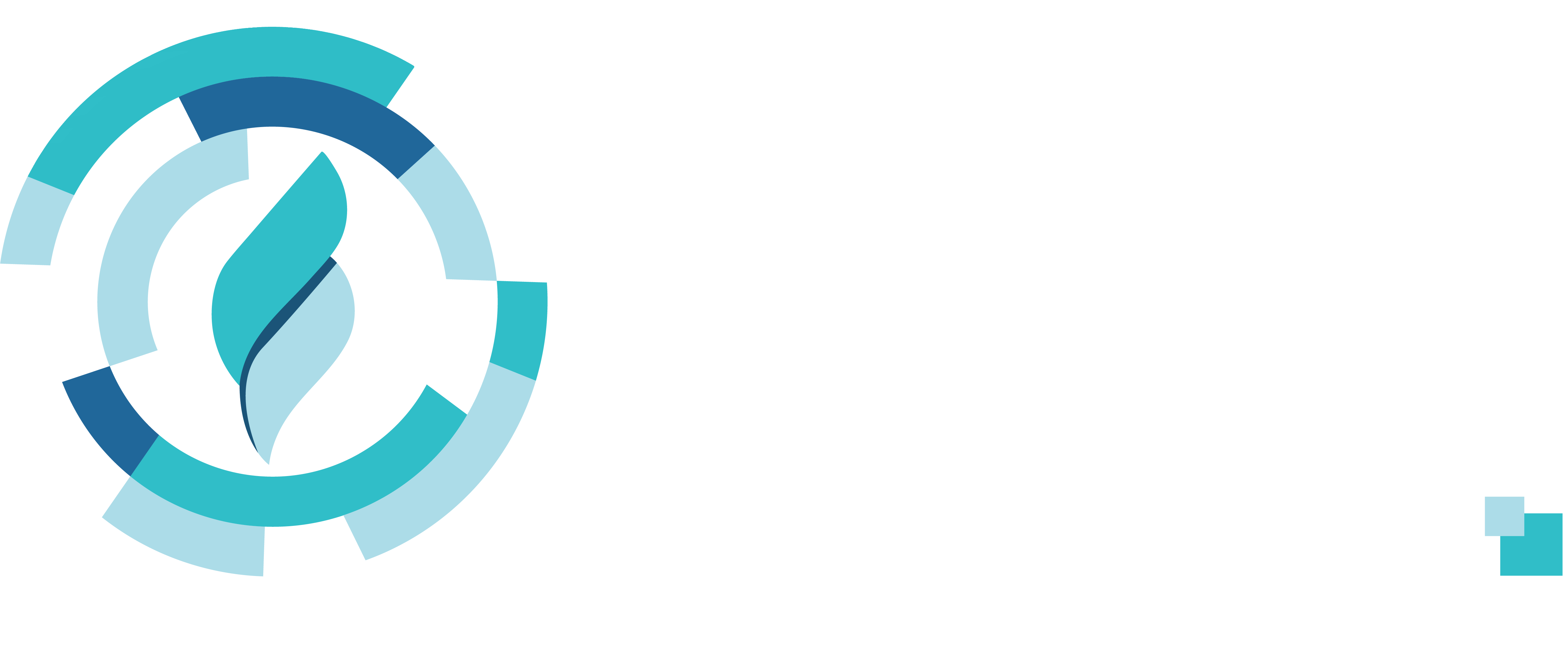 Digital's Flare